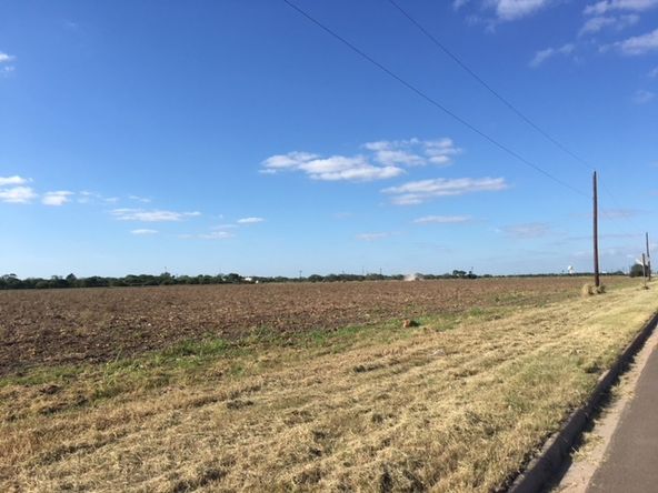 Raymondville Expressway Land: 140 N Expressway 77, Raymondville, TX 78580